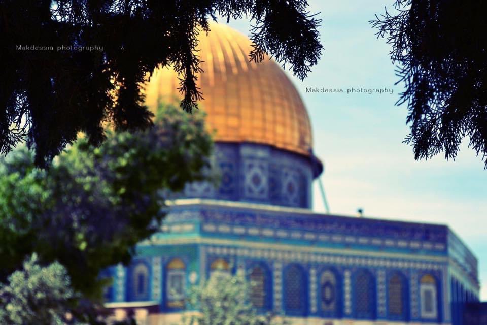 وَأعلم بِأنَّ إشتياقي لَن يَأخذني إليك ولن يأتي بك.. وَلَكنني مُستمر بِالإشتياق لحين ألقـاك ❤️
~