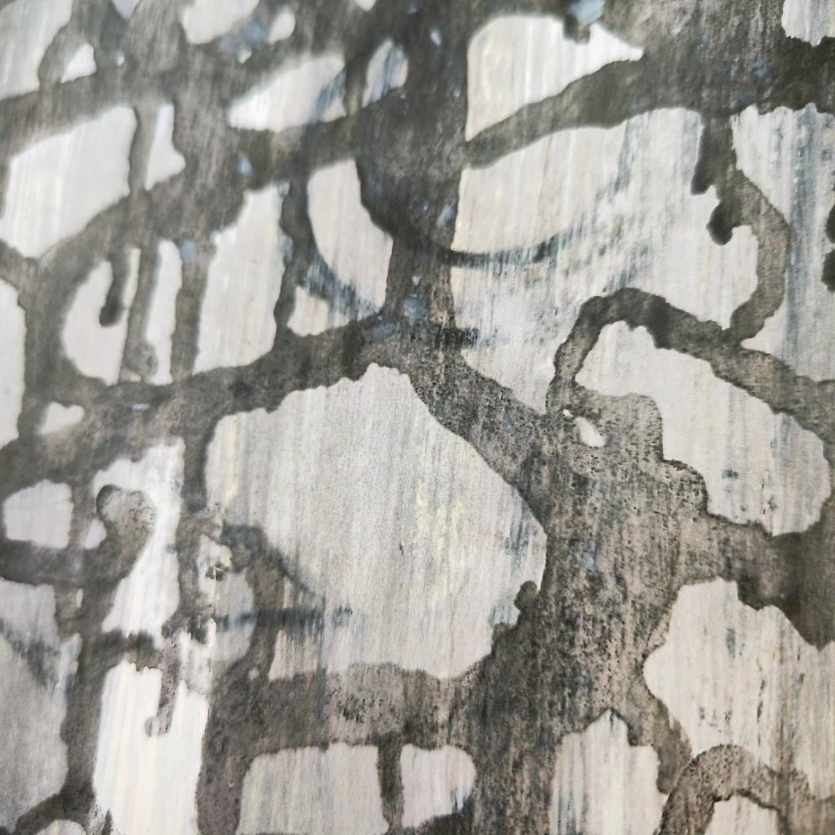 Alejandro Alvarez tweet media