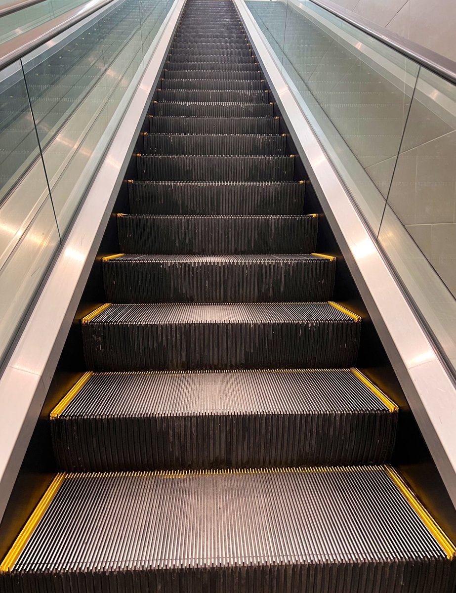 alanthebull's tweet image. Never been afraid of the climb !!
Build it back 💪
#alanfenandes #fighterslife