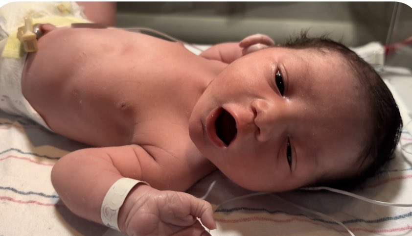 DANIEL BALDWIN tweet media