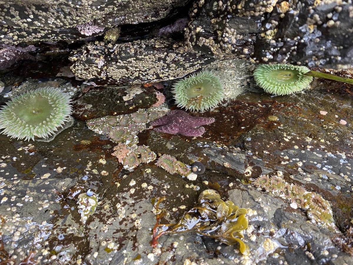 Dr. Christian Commander tweet media