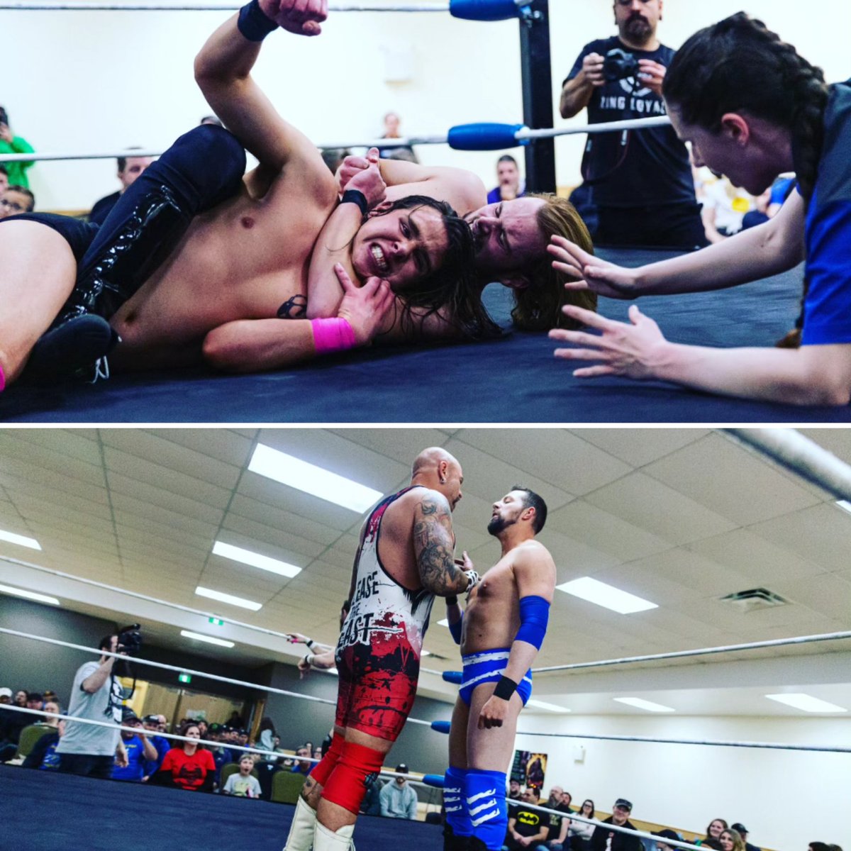 Check out some more spectacular photos from Mayhem in New Minas! On May 5th, wrestling fans! 📸🤘

Photos: Royce MacRae

#prowrestling #indywrestling #supportmaritimewrestling #maritimewrestling #indywrestlingrules #indywrestlers #novascotia