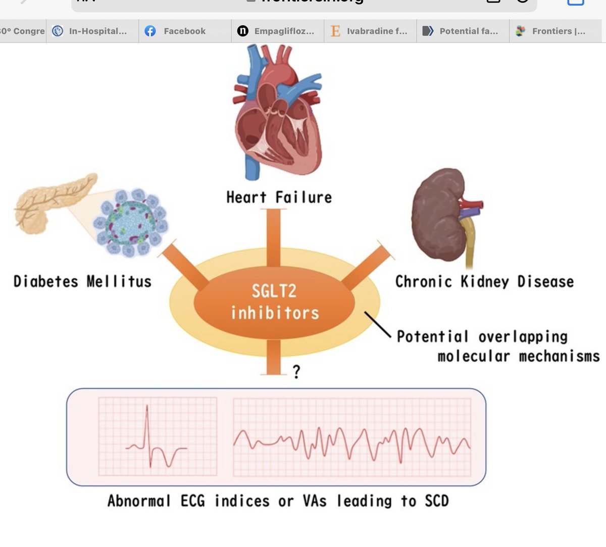 Ivan Mendoza tweet media