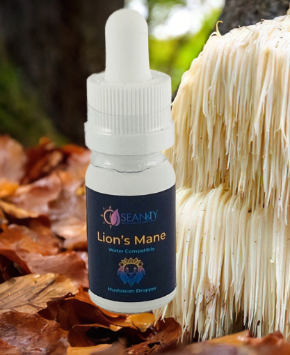 KC_Hope_Dealer's tweet photo. Whole Lion's Mane Mushroom Tincture
Support healthy cognitive function with our premium Whole Lion’s Mane Tincture https://t.co/Mm0AYyQnEV
#TheFutureIsNow #marketplace #HealthyLiving #engery #emotionalwellness #Tincture #womenshealth #WFH #workformhome #Mushroom #worldwide https://t.co/87H0hPOU4w
