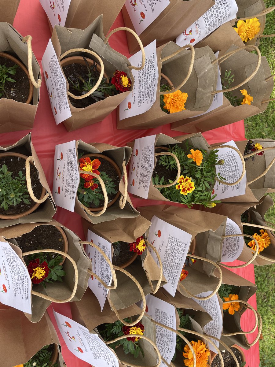 marne meredith tweet media