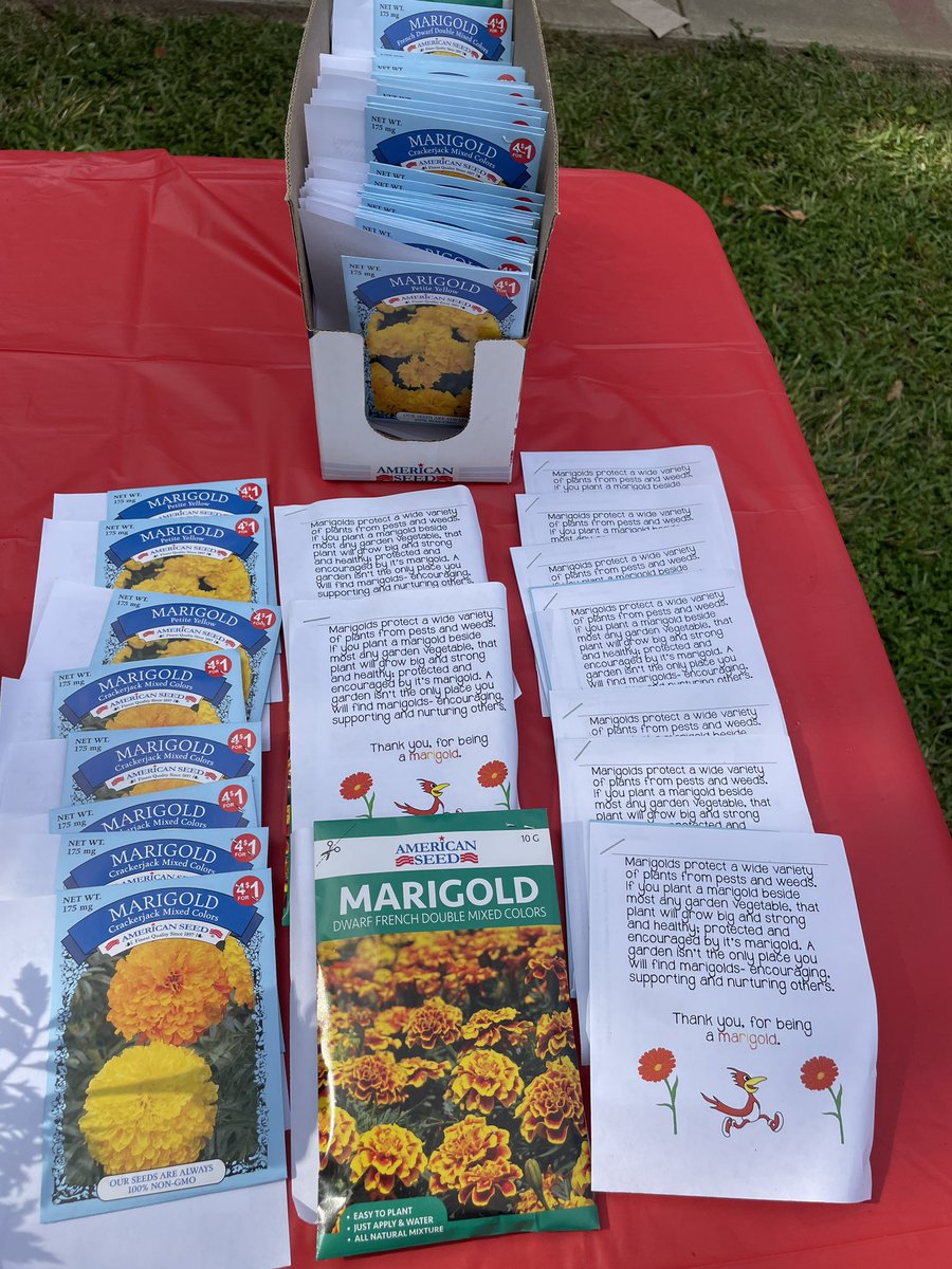 marne meredith tweet media