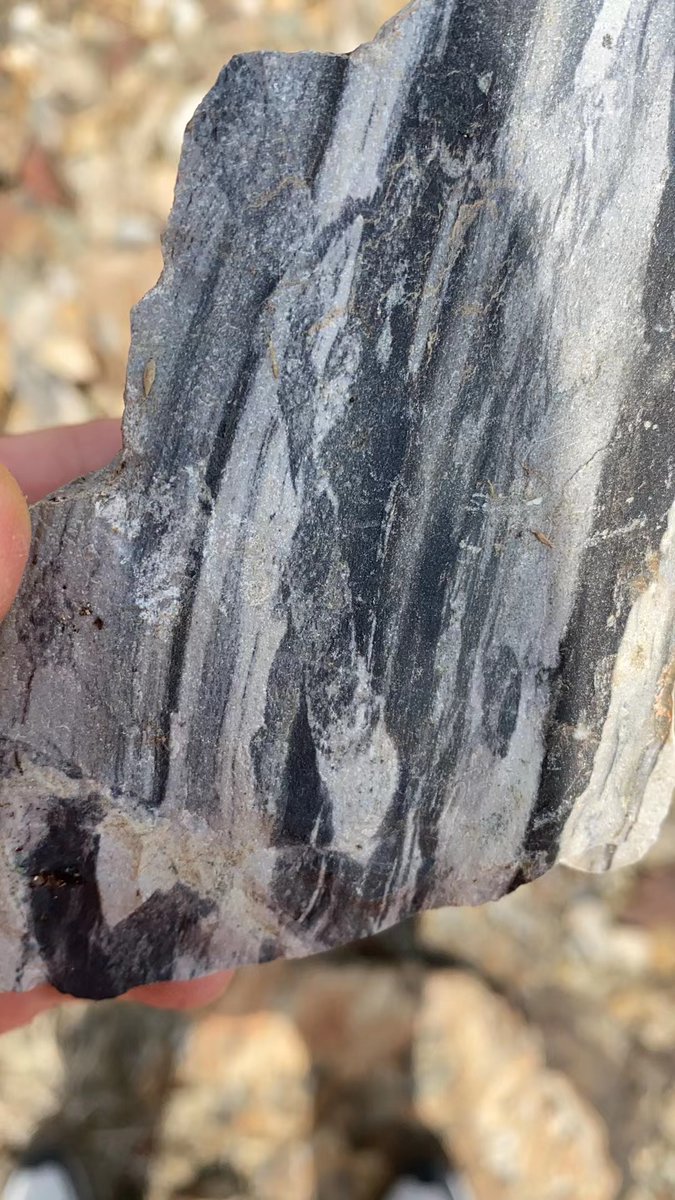 Well exposed outcrop in Qingdao😀