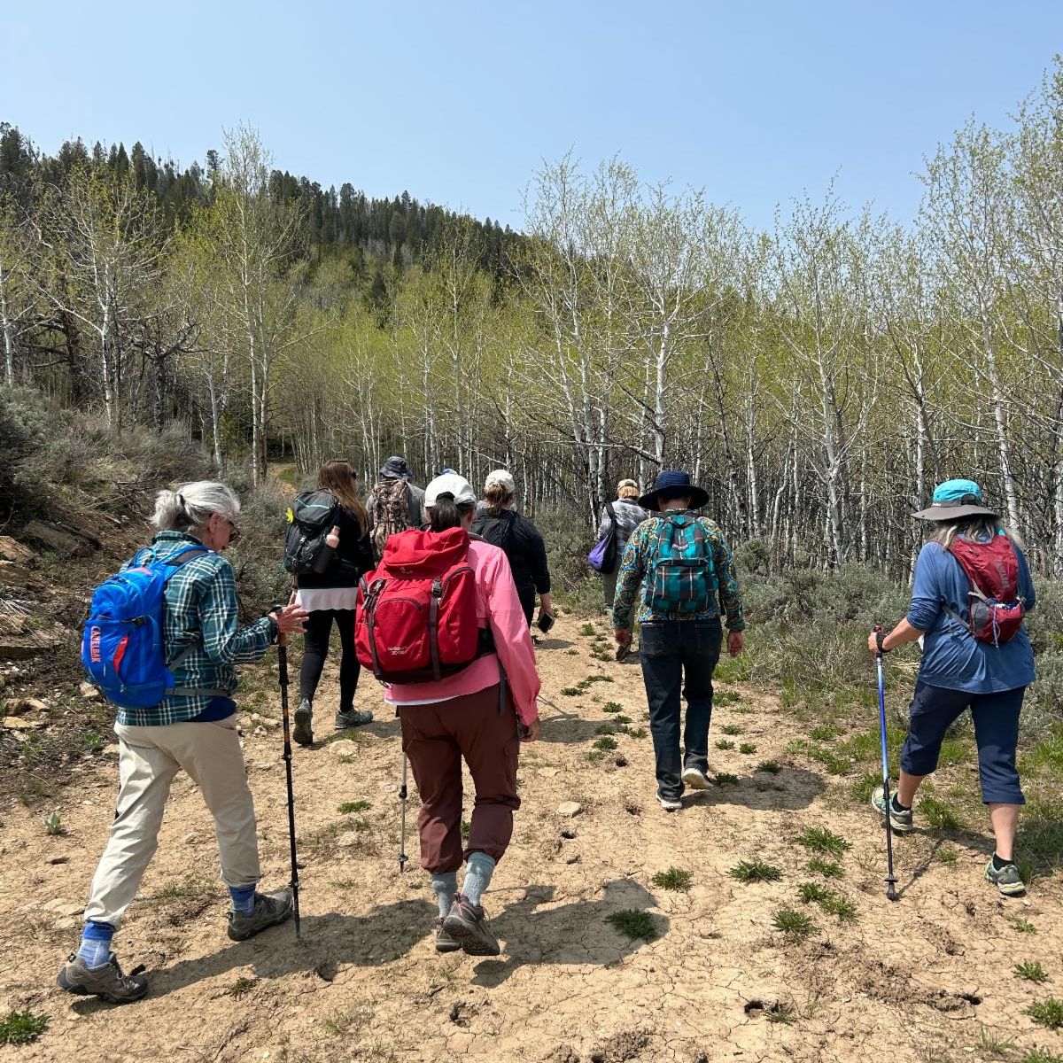 Colorado Headwaters Land Trust tweet media