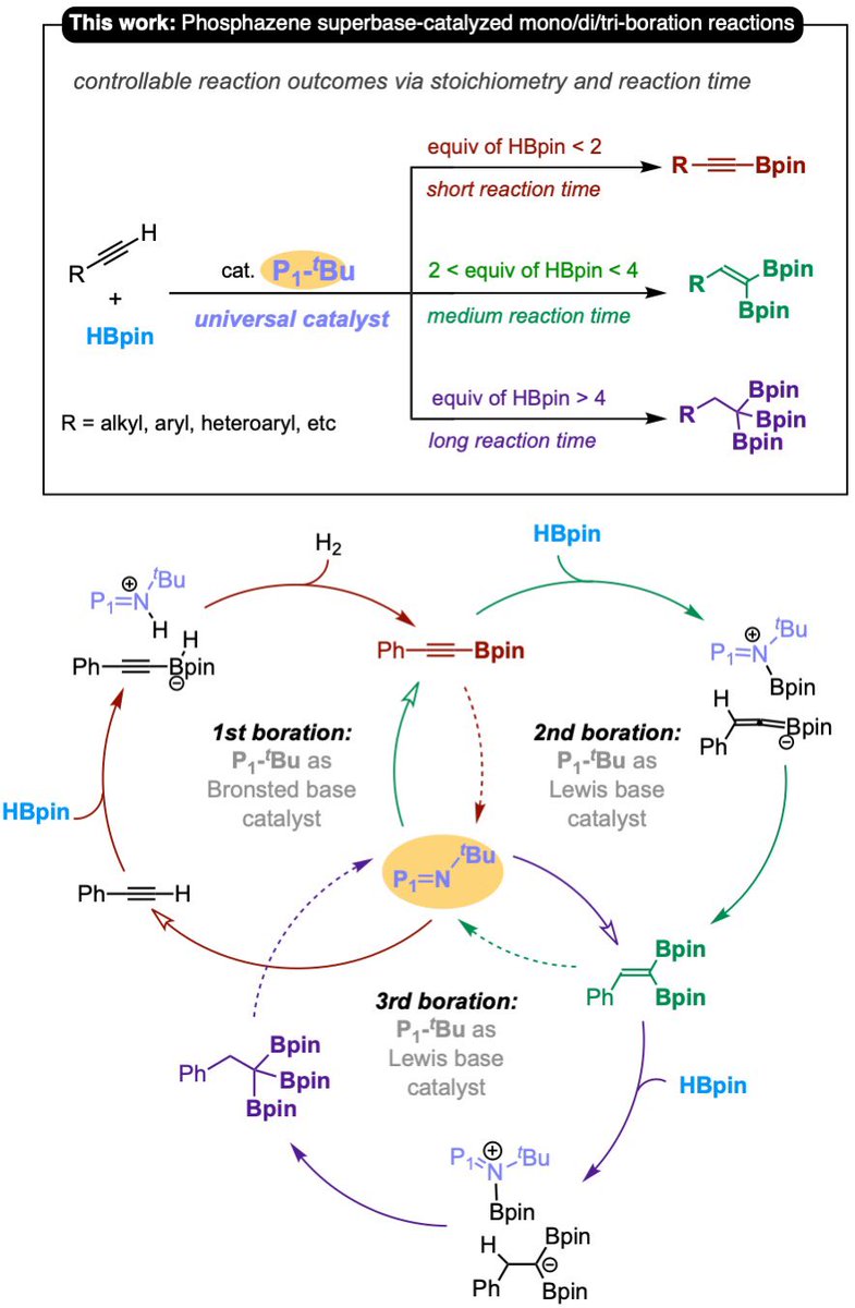 Proudly presenting: Universal organocatalytic method to put 1, or 2, or 3 boron groups onto alkynes with very good selectivity and efficiency. It's also amenable to continuous #flow setup. Hot off <a href="/ACSCatalysis/">ACS Catalysis</a>, please have a read #ozchem #boration

doi.org/10.1021/acscat…