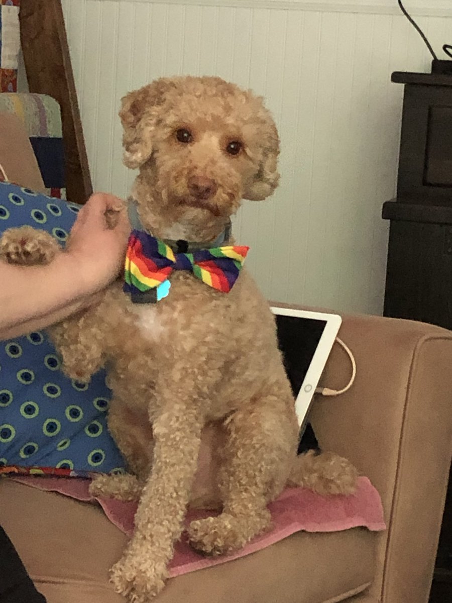 RT @charley_nelson: Thor and I wish everyone a happy Pride Month. https://t.co/m5owBg5019
