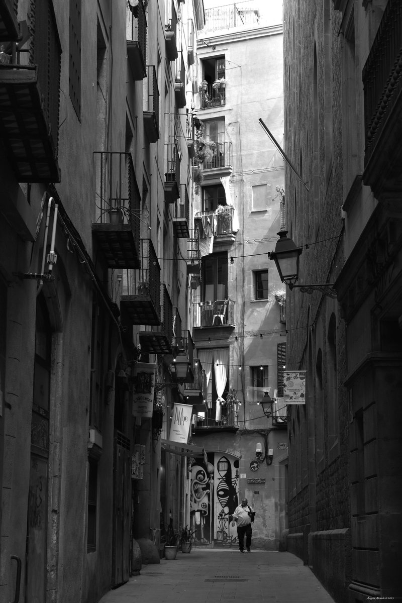 #Barcelona #photography #photo #bnwphotography #blackandwhite #blackandwhitephotography #blackandwhitephoto #blackandwhitephotos #monochromephotography #Monochrome #foto #street #streetphotography #streetphoto #urbanphotography #noiretblanc #cityscapes #nikon #nikonphotography