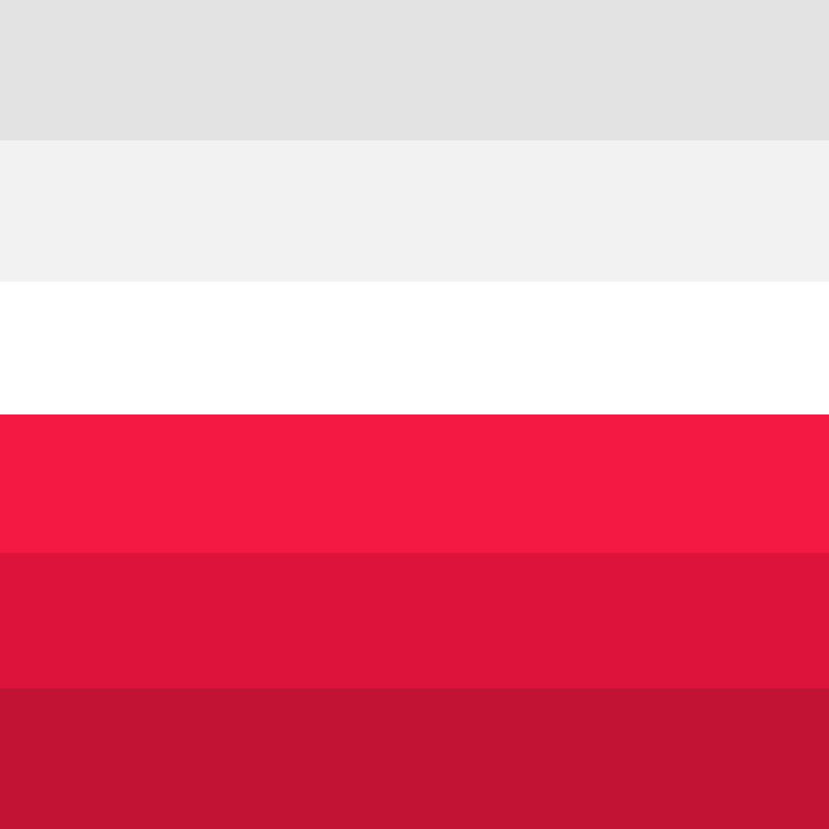 Polishnatio's tweet image. Poland is with you Germany 
#Stolzmonat