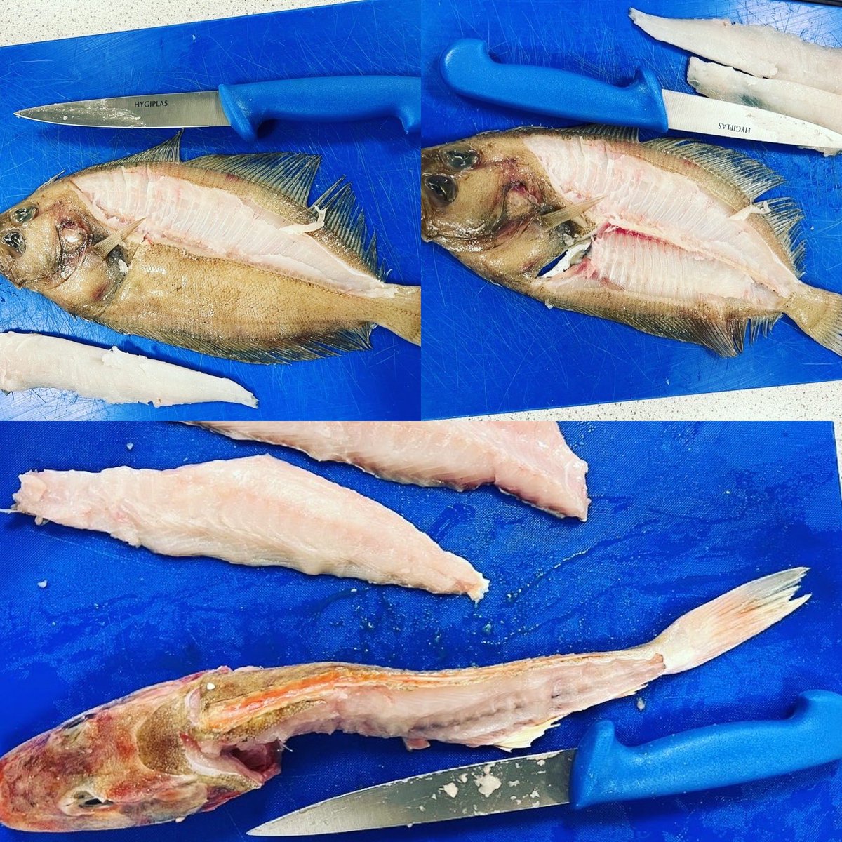 Miss Smith tweet media