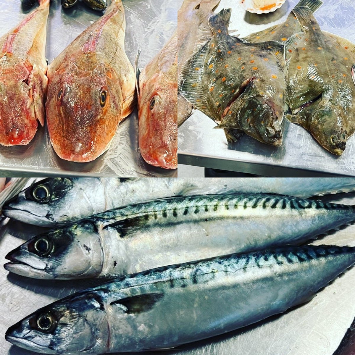 Miss Smith tweet media