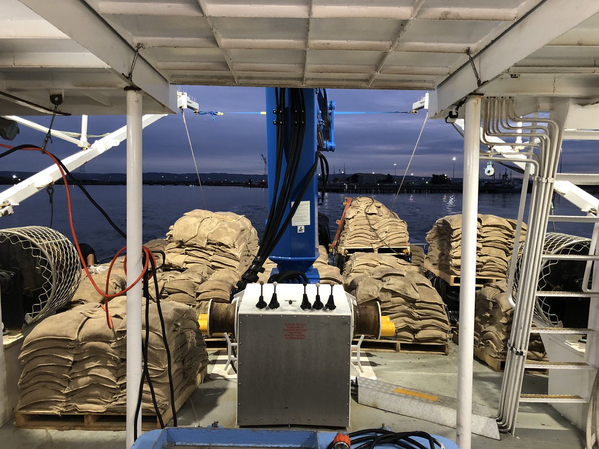 This is what #seagrass restoration  at scale looks like! We’re out on the boat today - ready to deploy a few thousand sandbags to facilitate seagrass seedling recruitment along the coast just north of Adelaide 🌱 🌊
#GenerationRestoration
#BlueCarbon
#MarineEcology