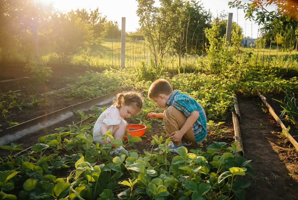 Wanting to get your children interested in #gardening? Consider implementing these #gardentips.  cpix.me/a/170717593