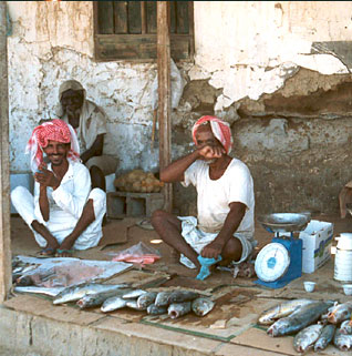 Fishmonger - Saudi  Arabia 🇸🇦