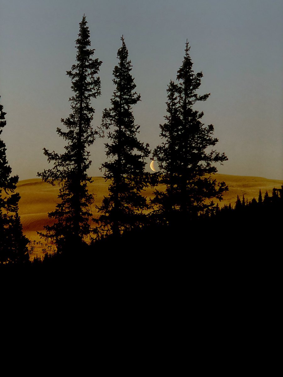 KayakCan's tweet photo. Two road trips one week apart combined to make this a unique photo. One-of-a-kind. #composit #yyc
Just a guy with his 🤳 https://t.co/qjX2rXWoBf