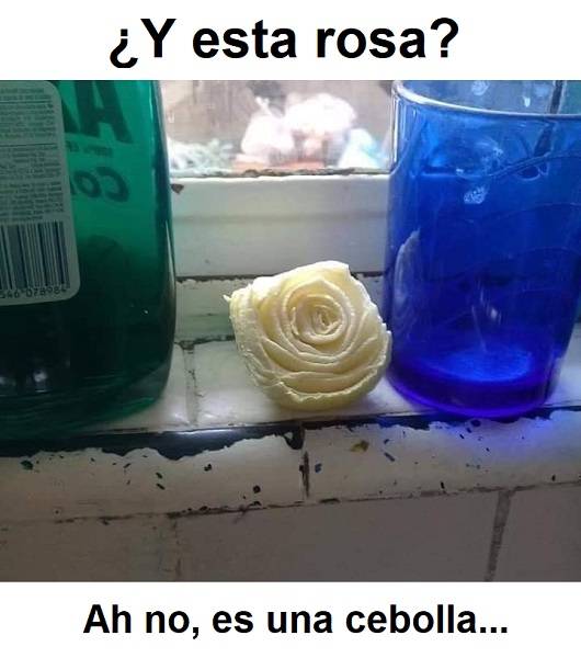 Cosas milagrosas que aparecen de repente... 😱

#Meme #RosaDeGuadalupe