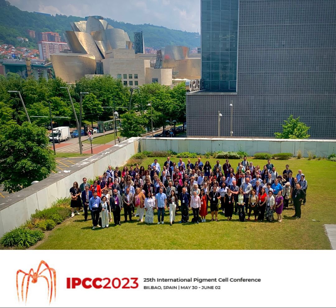 Group picture of the #IPCC2023 conference held at the #BizkaiaAretoa <a href="/upvehu/">UPV/EHU</a> Another great meeting on pigment cell research. Thanks to Lola Boyano, Aintzane Asumendi <a href="/salonsoLab/">Santos Alonso</a> José Carlos García-Borrón &amp; <a href="/LluisMontoliu/">Lluis Montoliu</a> for organizing such an interesting and stimulating congress