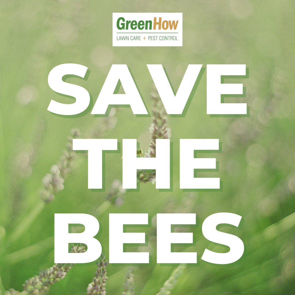 Save the pollinators!  🐝⁠
⁠
Plant flowers that encourage pollinators, such as marigolds, peonies, or yarrows and reduce pesticide use. We are proud to utilize grub control material that has no impact on pollinators. #savethebees #bees #pollinators #lawnlove