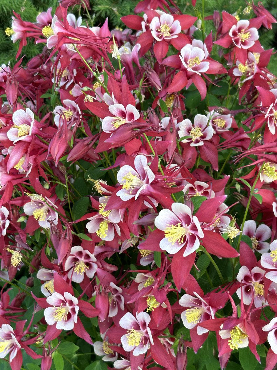 pattimarathon's tweet image. #WhileWalking