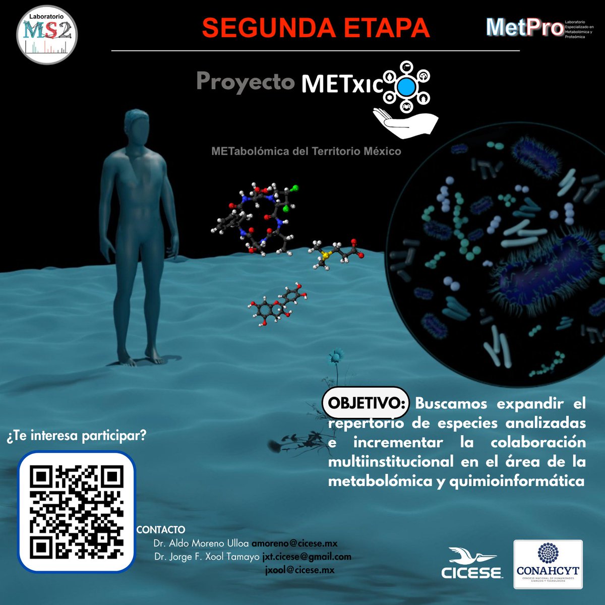 Iniciamos la SEGUNDA ETAPA del #ProyectoMETxico

Buscamos expandir nuestro conocimiento sobre los #metabolomas de especies marinas y terrestres en México
#Metabolomics #Massspectrometry #chemoinformatics

Te interesa participar,  contáctanos
Mas info en: sites.google.com/d/1RisZhJHsuDA…