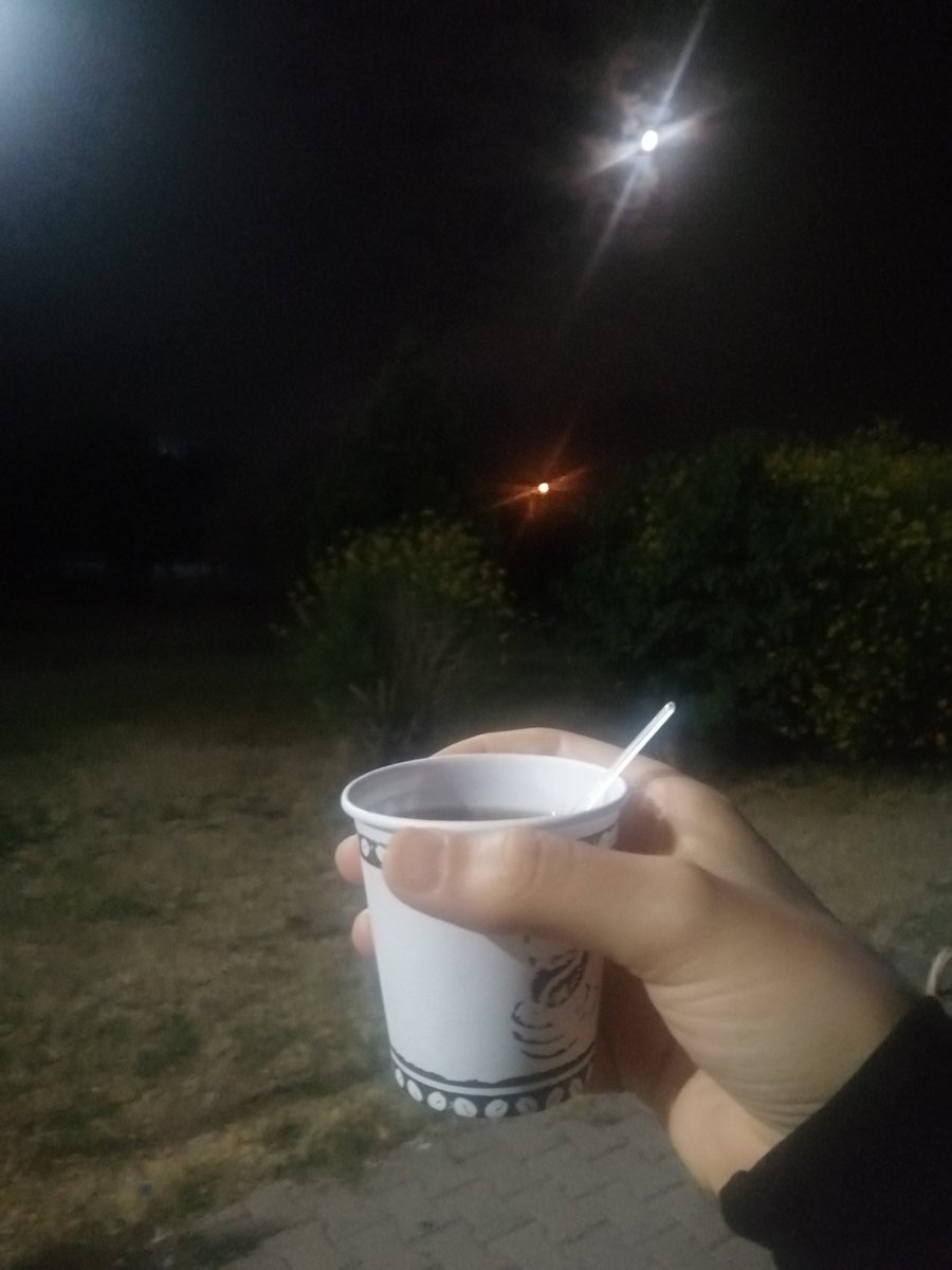 Özgürlüğümü seviyorum