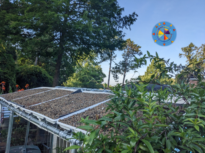 Growing Hemp on #Greenroof panels here at Arendell Hill Nursery. Time to plant FAMU's x Hepius pilot variety! #freshfromflorida kevinsonger.blogspot.com/2023/06/ipm-gr…