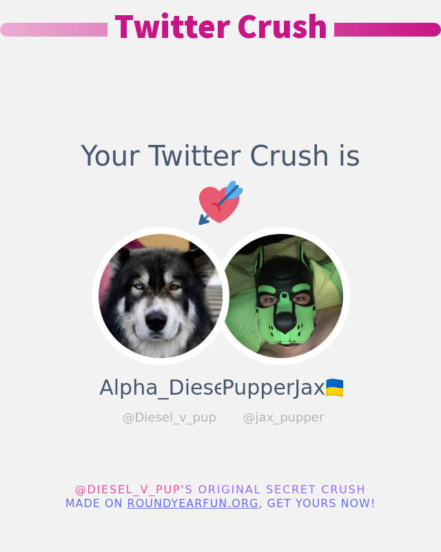 Diesel_v_pup's tweet photo. My Twitter Crush is: @jax_pupper

➡️ https://t.co/ZzrO6i98YB https://t.co/sQyof2Ad7U