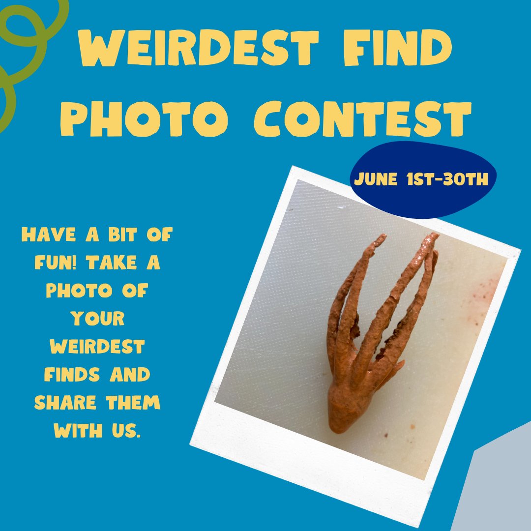 AdoptOneBlock tweet media