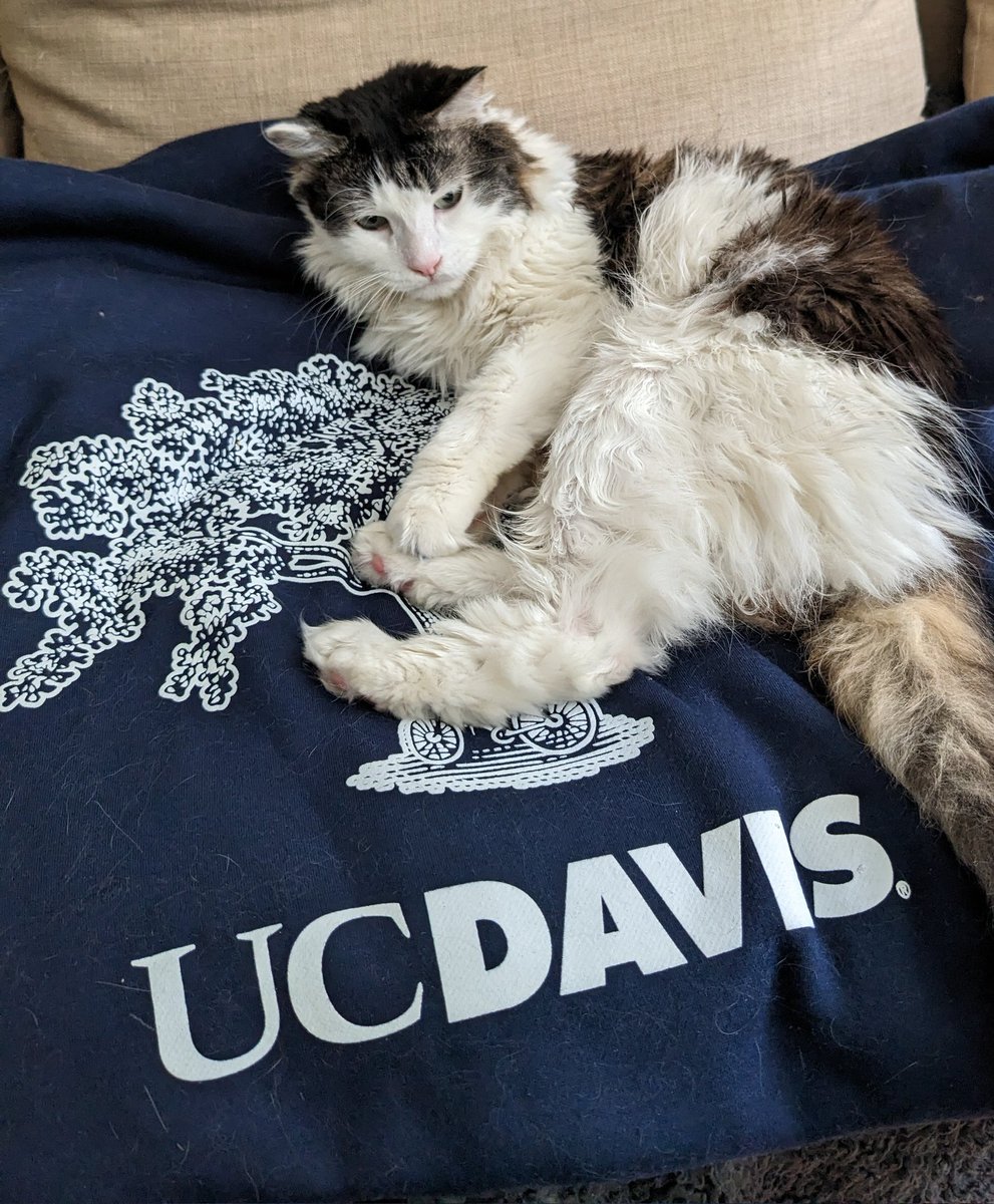 Martine Therrien tweet media