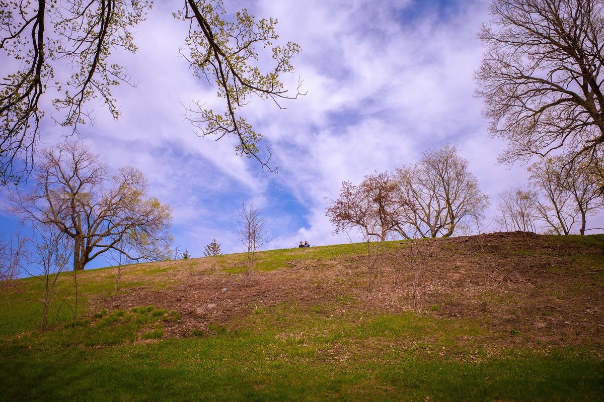 MovingStillPix's tweet photo. Hillside. https://t.co/H9hgeUDWNW https://t.co/C75GUBJuZl