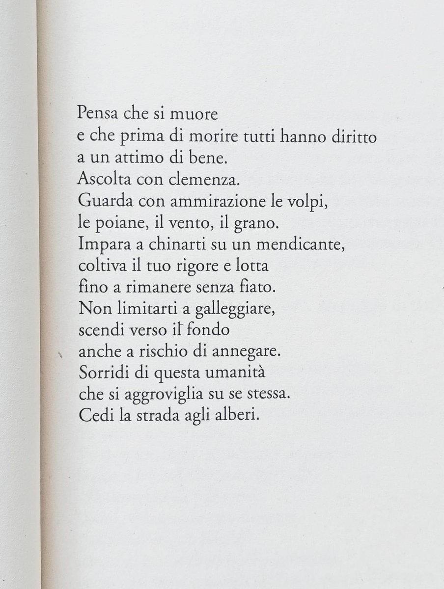 #FrancoArminio
#CediLaStradaAgliAlberi
#poesia