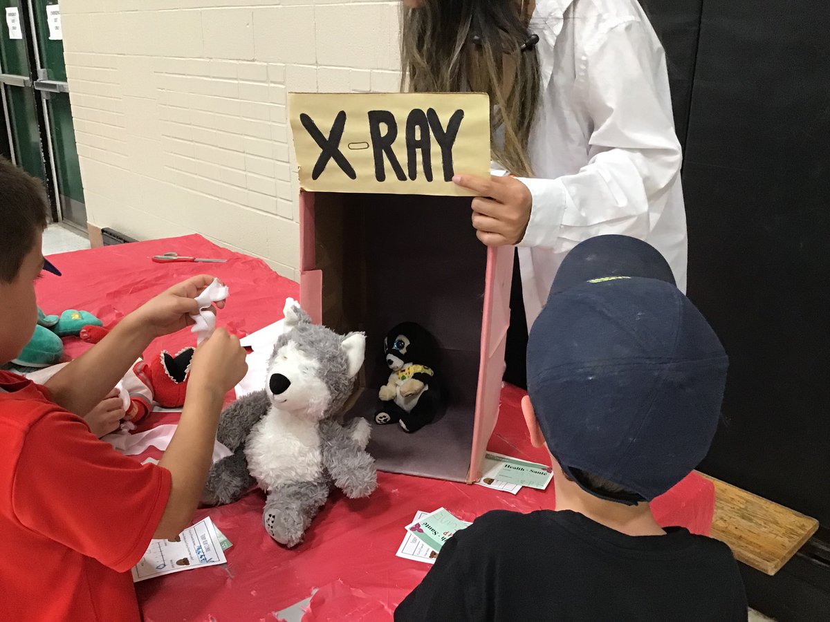 Grade1F's tweet image. Thanks to McMaster’s volunteers for leading an engaging and fun Teddy Bear clinic today for @Panabaker_HWDSB  grade 1 students. Health cards, X-rays, hand washing, surgery and more!