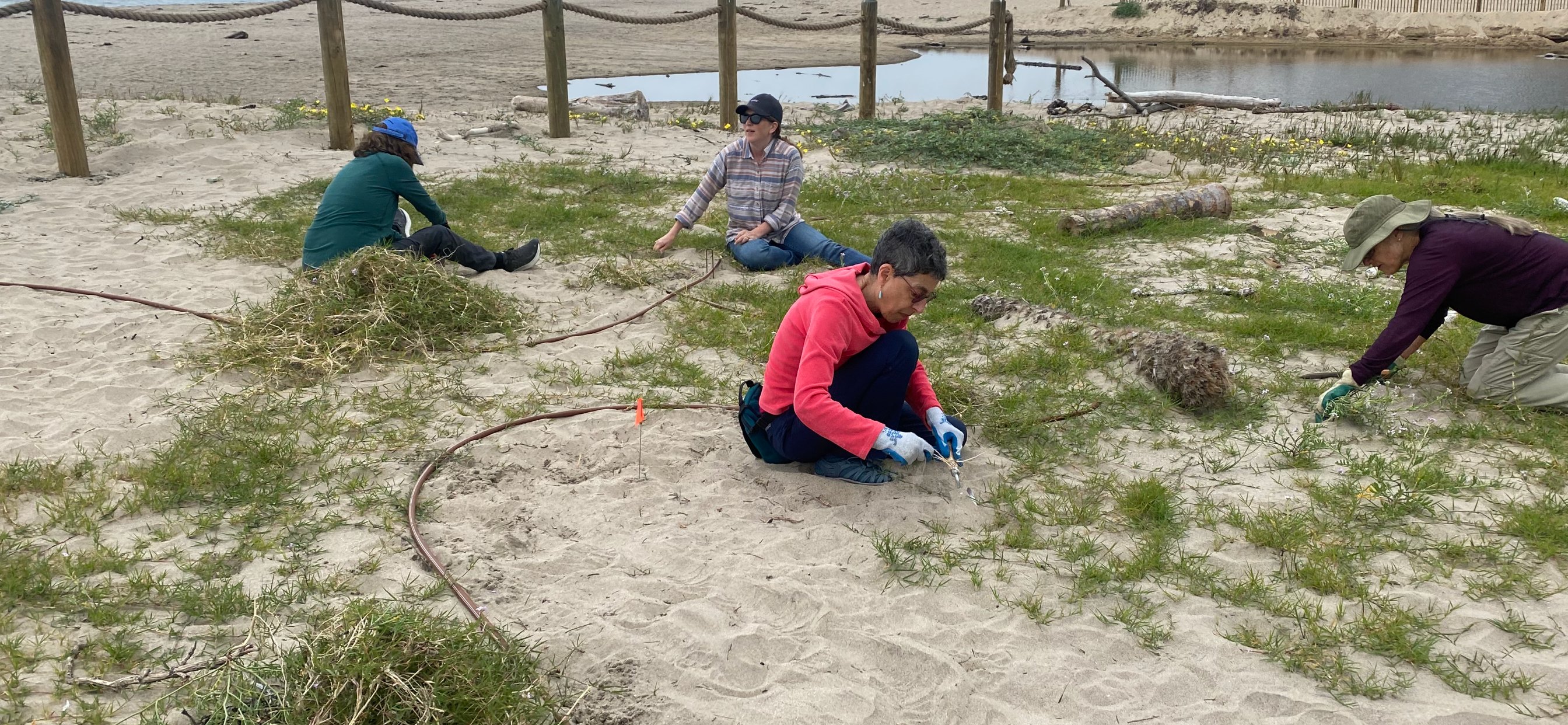 John Palminteri on Twitter "Fatal crash with a car fire. Hwy 101 NB at