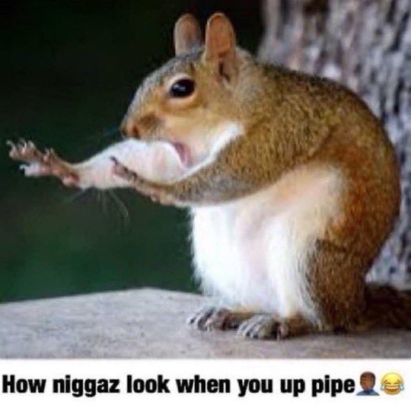 ALMIGHTYSW4VY's tweet image. “STARSCREAM”