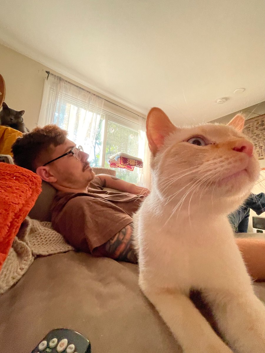 _uh_idc's tweet photo. Boy, Biscuit &amp; The Ultimatum https://t.co/63QvHB6S9w