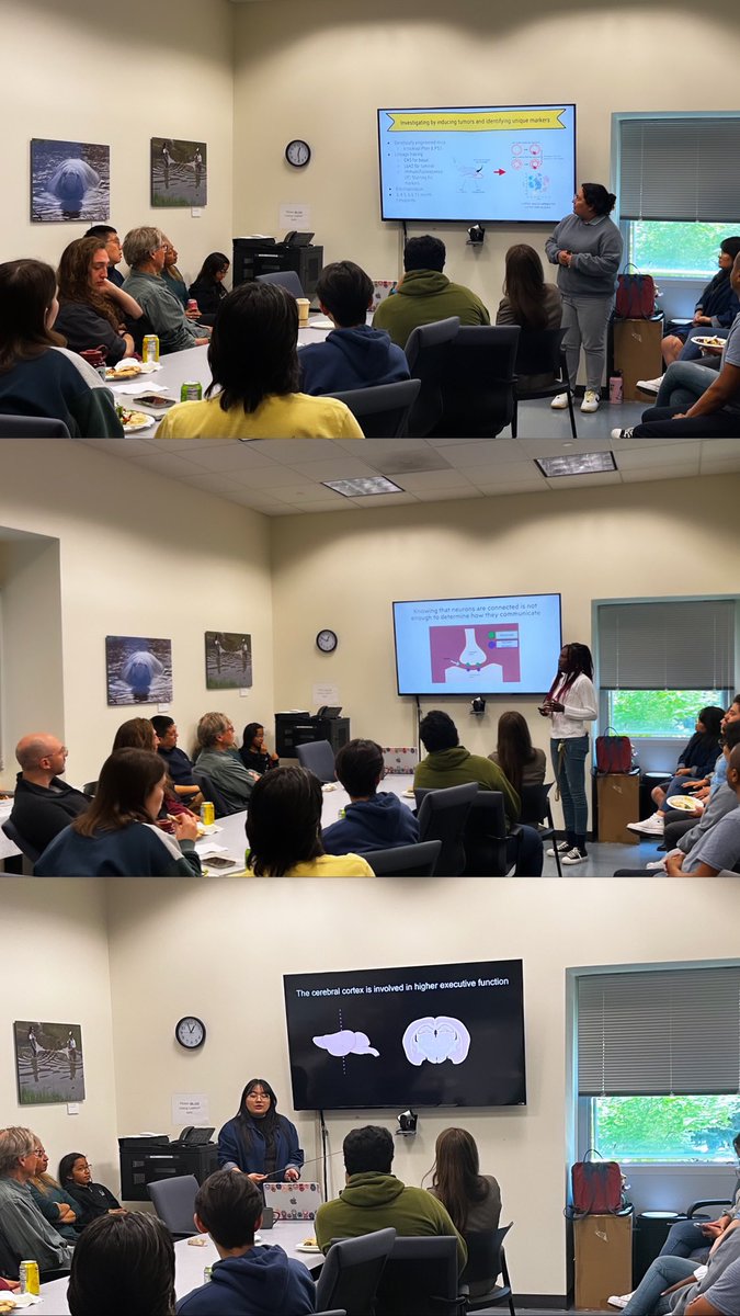 UCSC STEM Diversity tweet media