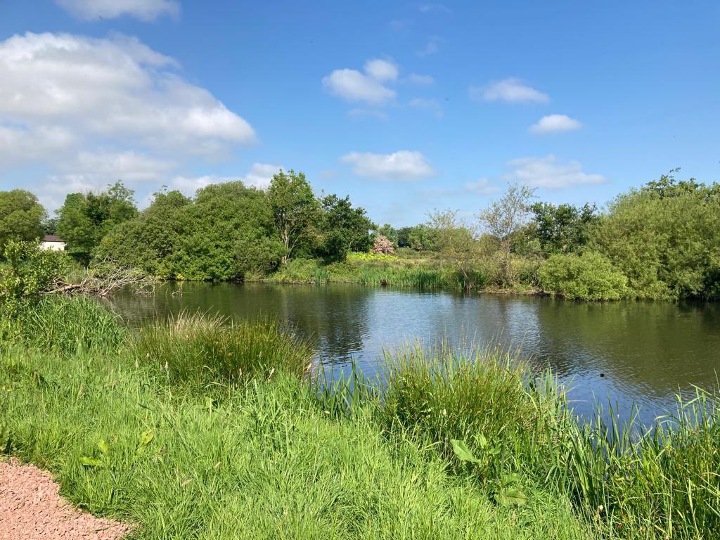 Fantastic visit to Phelim &amp;Joanna   at Jigsaw Social Farm, Ballinderry today - amazing surroundings &amp;vision for the future - <a href="/NHSCTrust/">Northern Trust</a> are excited to offer exciting new daytime opportunities to people with learning disabilities.  Great support from our partners <a href="/RuralSupport/">Rural Support</a>