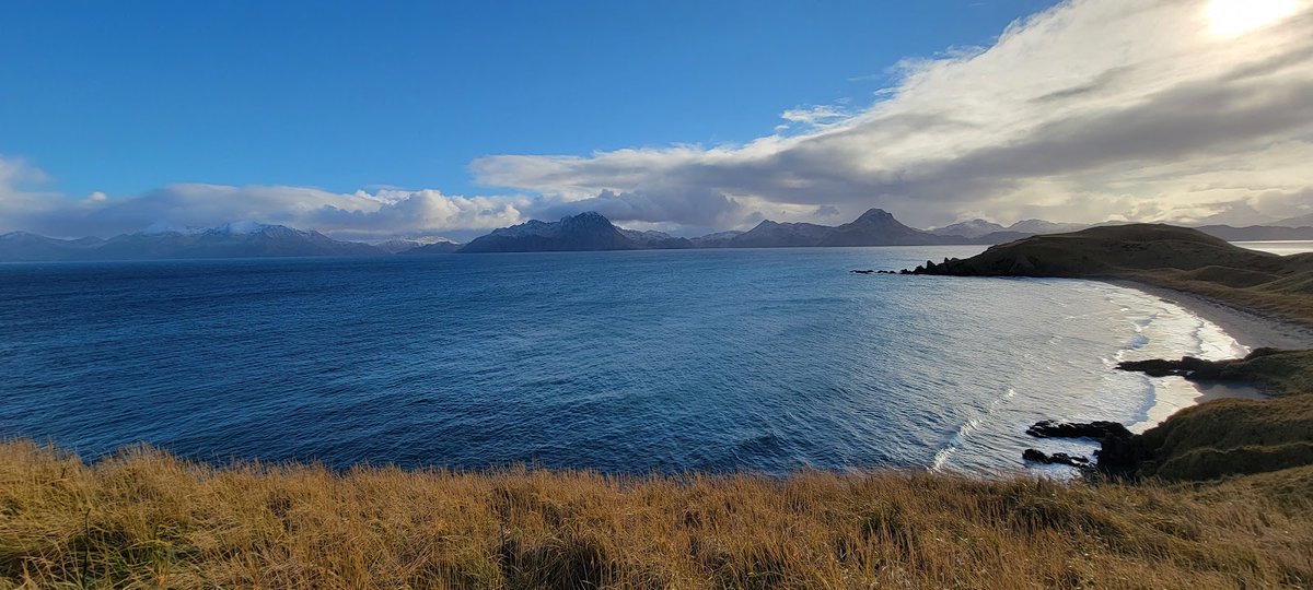 New town every hour on Twitter "Adak, Alaska Population 326 Photos