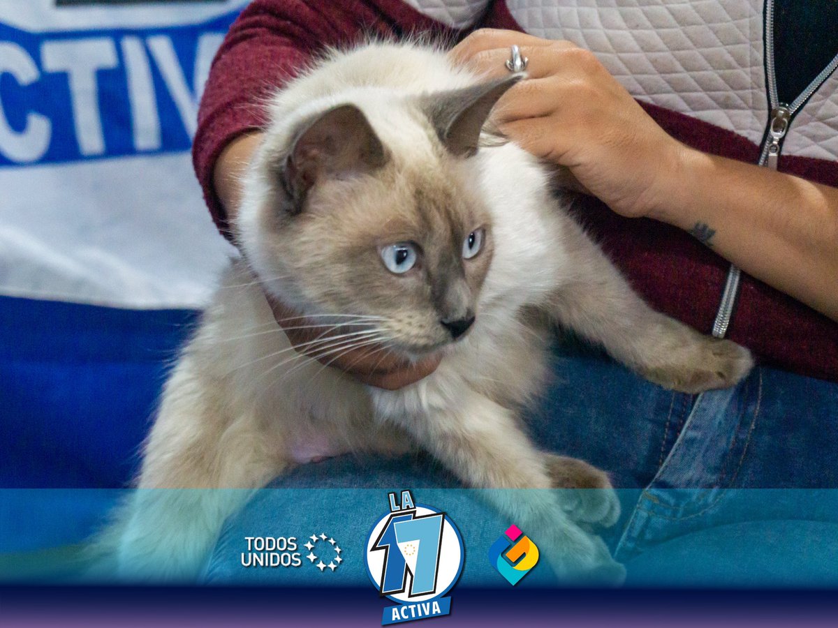 Cerramos un jueves más de #MascotasActivas 🐶💙

Exitosa convocatoria nuevamente , le agradecemos al equipo de médico veterinario por su gran labor, y nuestros compañeros militantes por acompañar 👏 

#GildoInsfranGobernador #JorgeIbañez #RamiroIntendente2023