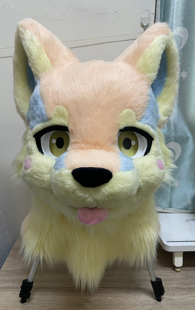 天偶毛作✨commission close tweet media