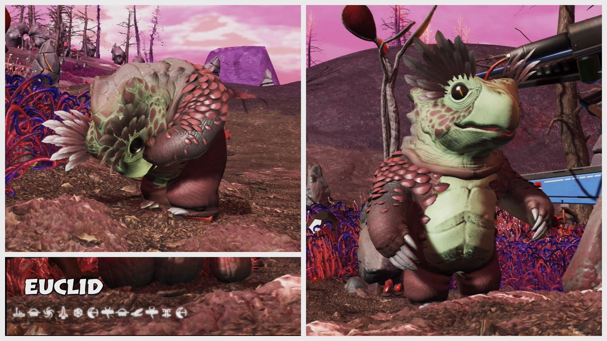 Frequencey71's tweet image. Protogek, Euclid #NMSPhotography #NMSInterceptor #NMSFauna #ShareFactoryStudio #PS5Share