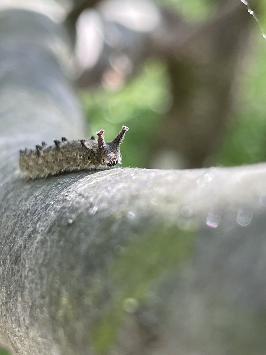 InCaseEmergncy's tweet image. ⠀                 
Me and my wifr.
⠀