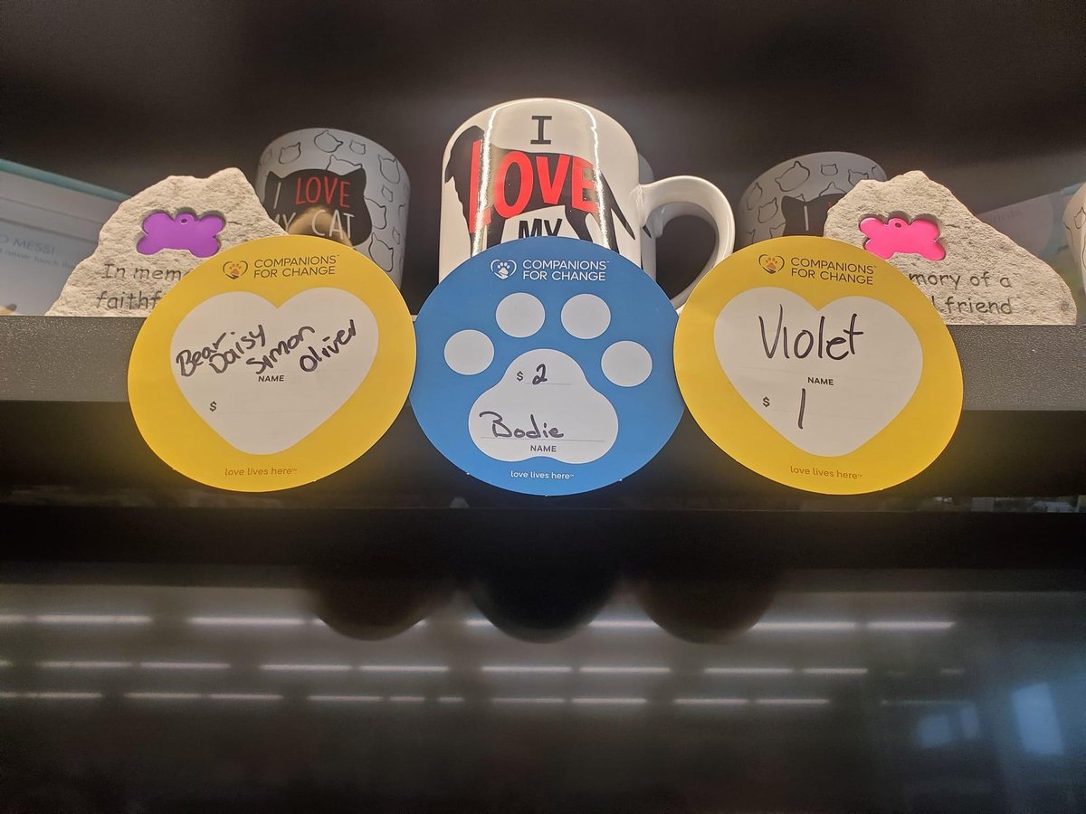 SAFE Team Rescue tweet media