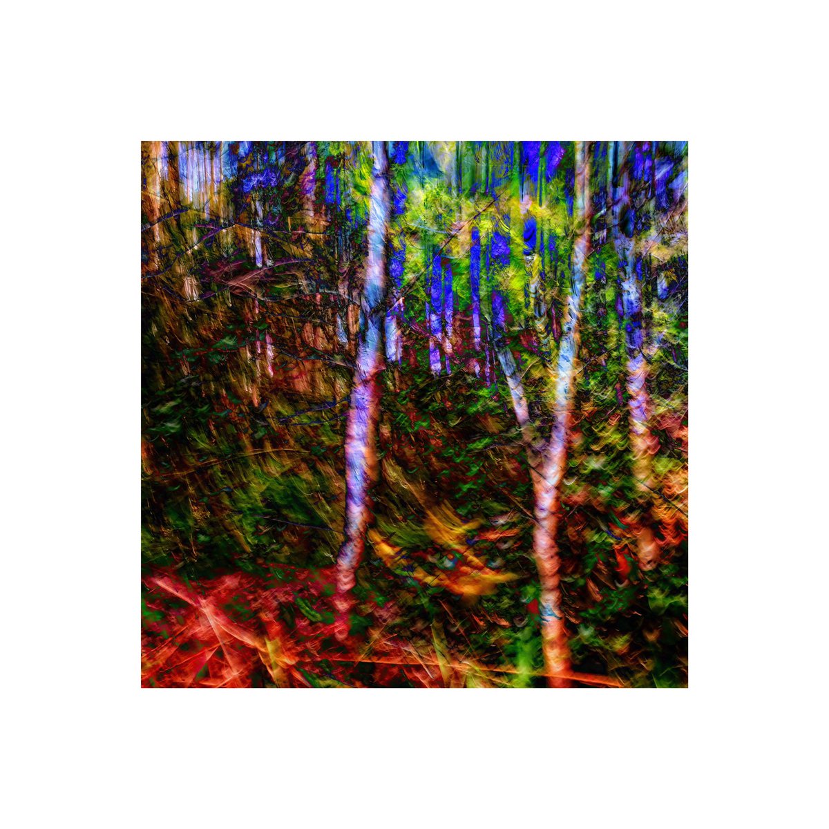 Day 152 365 days of ICM  photography 
#icmphotography #icm #intentionalcameramovement #abstractphotography #abstract #icmphoto #icmphotomag #impressionistphotography #bluronpurpose #camerapainting #365in2023