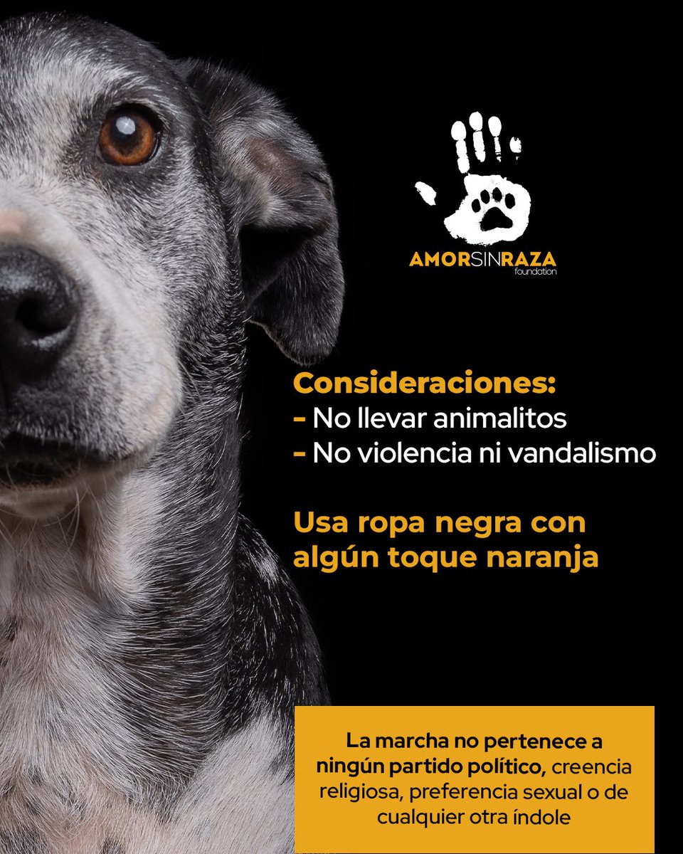 Eri Fernandez tweet media