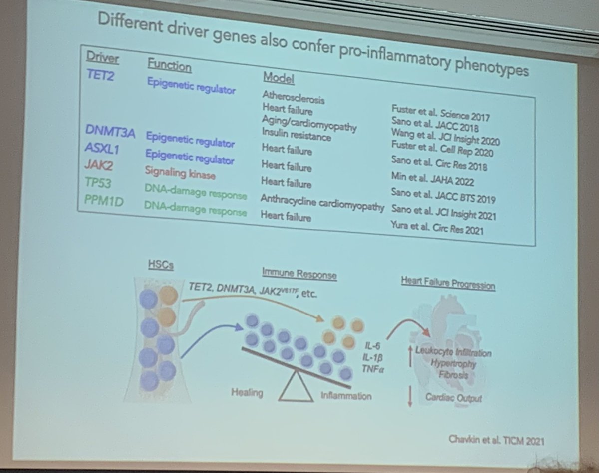 David Loane (@davidjloane) on Twitter photo <a href="/BiochemSocTCD/">TCD Biochemical Society</a> <a href="/tcdTBSI/">TCD TBSI</a> Fantastic talk by Ken Walsh during <a href="/BiochemSocTCD/">TCD Biochemical Society</a> mini-lecture series. So many parallels in cardiovascular and neurological systems in aging, inflammation and disease. Super interesting research on Loss of Y during aging! Superb. <a href="/BiochemSocTCD/">TCD Biochemical Society</a> <a href="/tcdTBSI/">TCD TBSI</a> Fantastic talk by Ken Walsh during <a href="/BiochemSocTCD/">TCD Biochemical Society</a> mini-lecture series. So many parallels in cardiovascular and neurological systems in aging, inflammation and disease. Super interesting research on Loss of Y during aging! Superb.