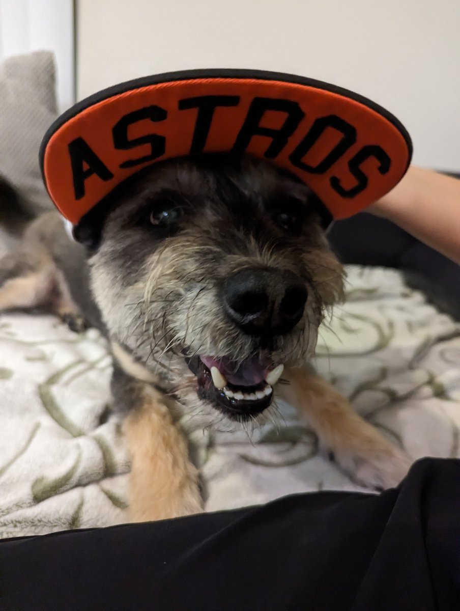 We won tonight <a href="/astros/">Houston Astros</a> #happydog #happyfurmom